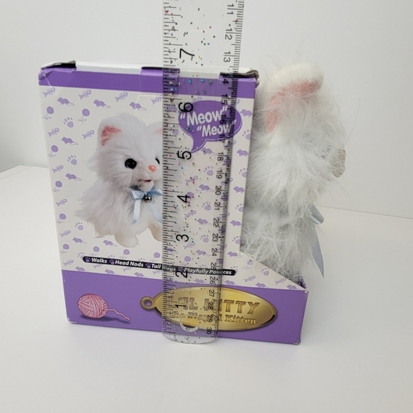 Lil kitty playful cat - Picture 7 of 7